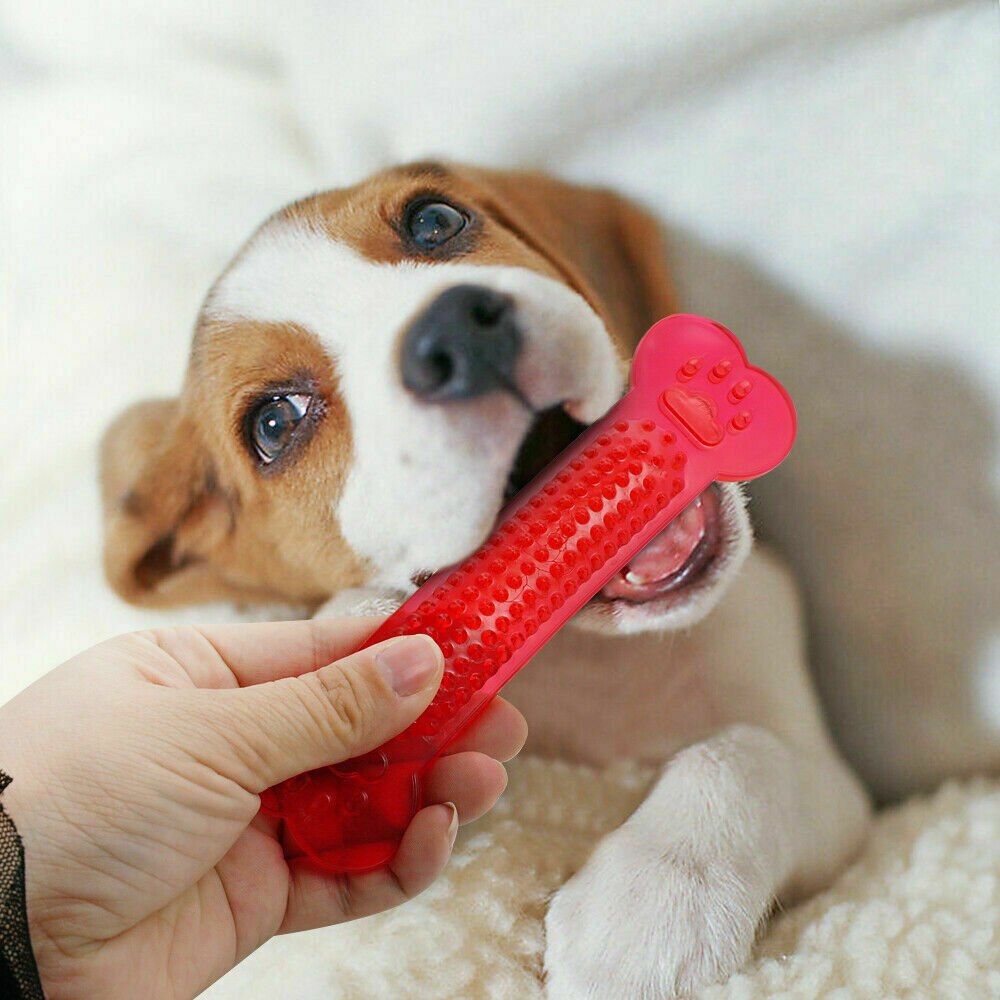 Bone Chew Toy for Dogs