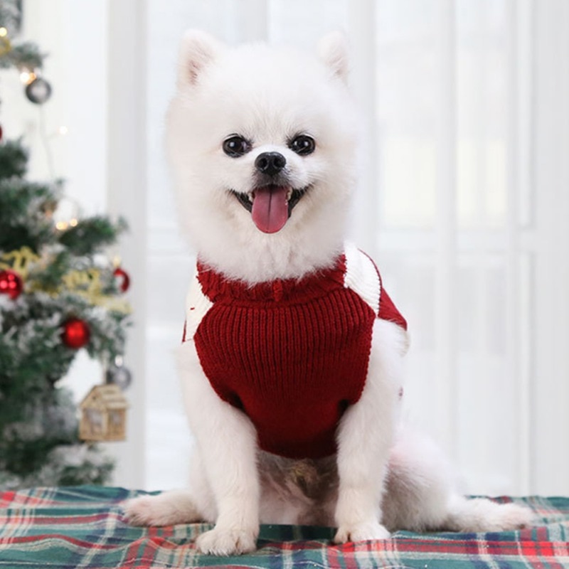 Knitted Sweater for small Dogs