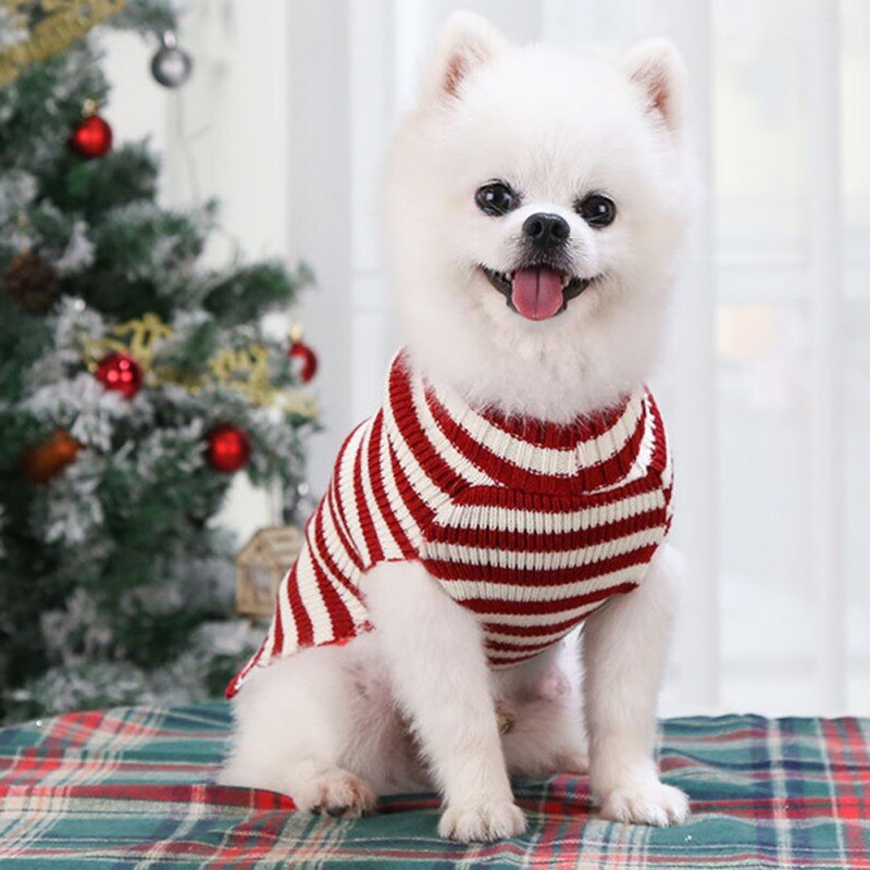 Knitted Sweater for small Dogs